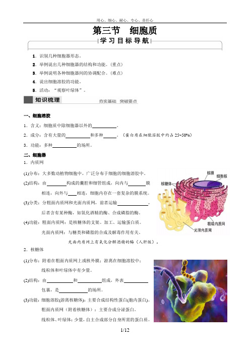 浙科版高中生物必修一第2章 第3节 细胞质 学生版