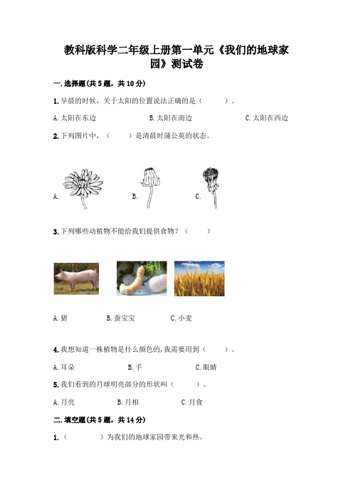 教科版科学二年级上册第一单元《我们的地球家园》测试卷及参考答案(最新)