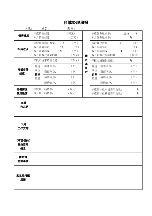 区域经理周报模板