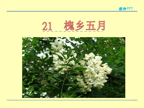 (赛课课件)苏教版三年级下册21槐乡五月课件