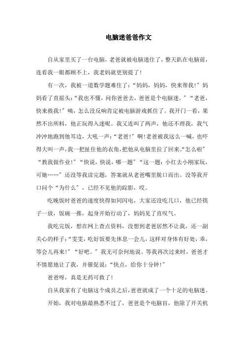 电脑迷爸爸作文精选