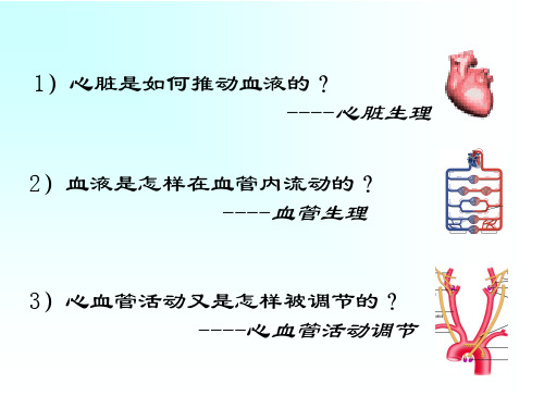 动物生理学血液循环ppt课件