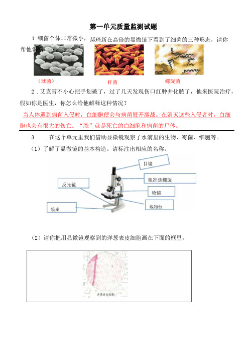 苏教版科学六年级上册单元测试题答案