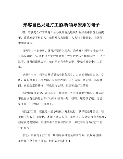 形容自己只是打工的,听领导安排的句子