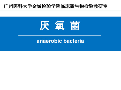 临床微生物检验：厌氧菌