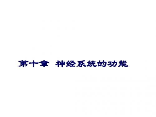 10神经系统的功能1219页PPT