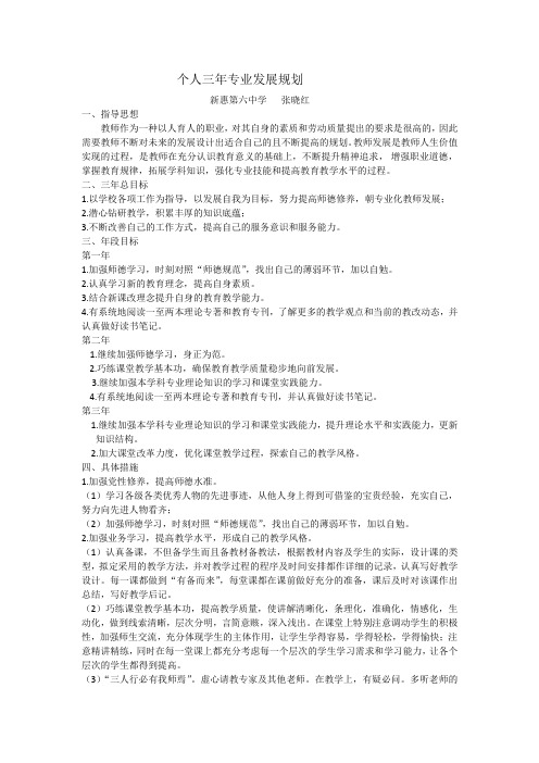 政治教师个人三年专业发展规划