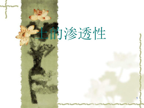 土的渗透性PPT演示课件