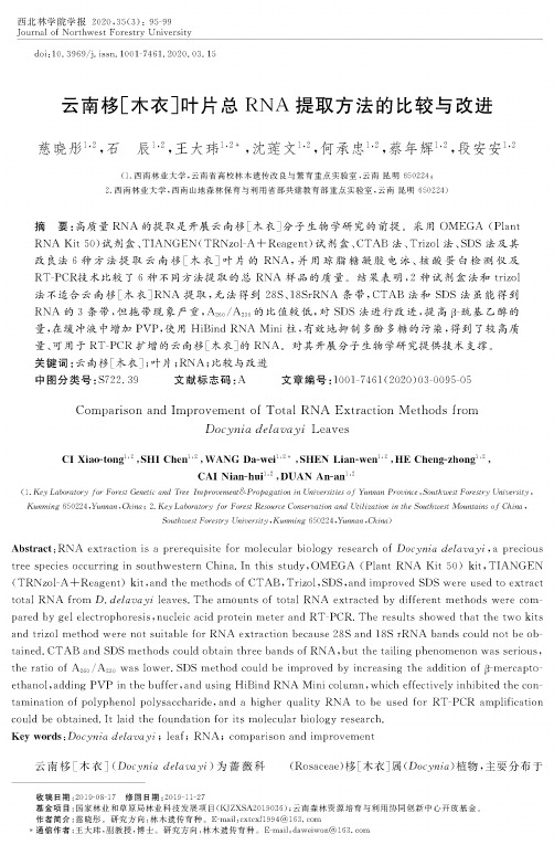 云南栘[木衣]叶片总rna提取方法的比较与改进