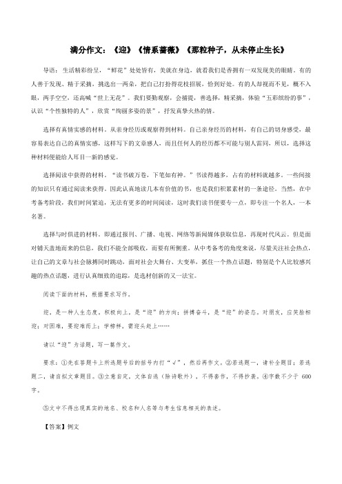 满分作文：《迎》《情系蔷薇》《那粒种子,从未停止生长》-备战2024年中考语文满分写作