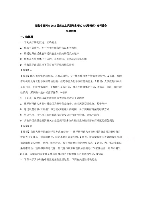 湖北省黄冈市2018届高三上学期期末考试(元月调研)理科综合生物试题 Word版含解析