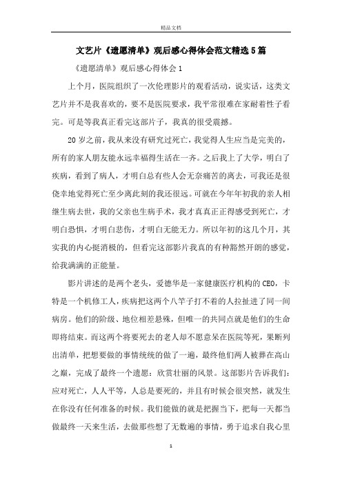 文艺片《遗愿清单》观后感心得体会范文精选5篇