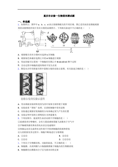 重庆市必修一生物期末测试题