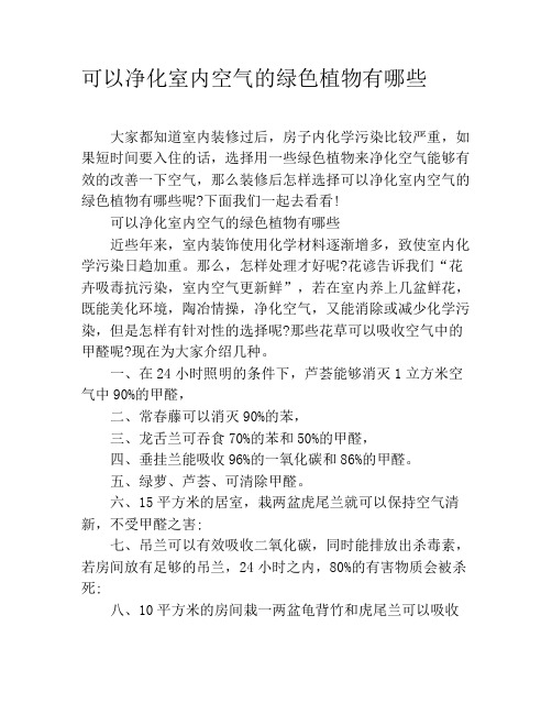 可以净化室内空气的绿色植物有哪些