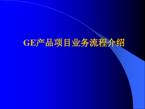 GE公司产品项目业务流程介绍
