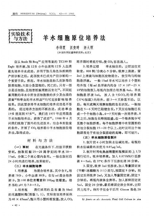 羊水细胞原位培养法
