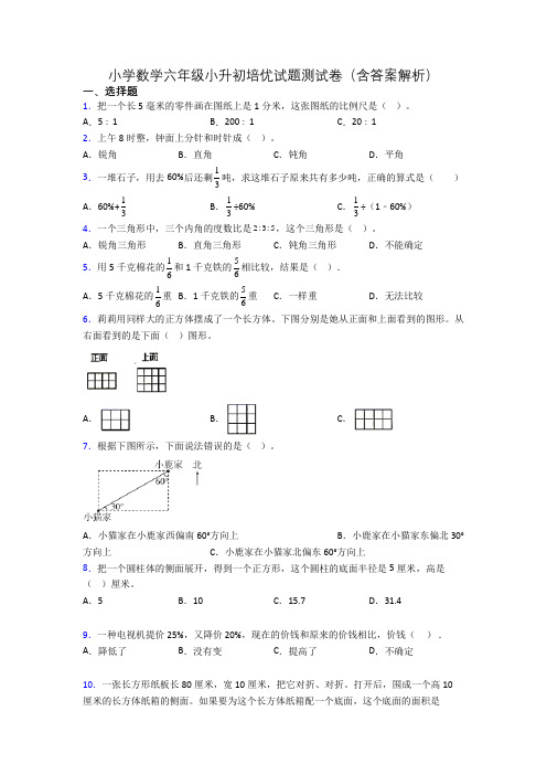 小学数学六年级小升初培优试题测试卷(含答案解析)