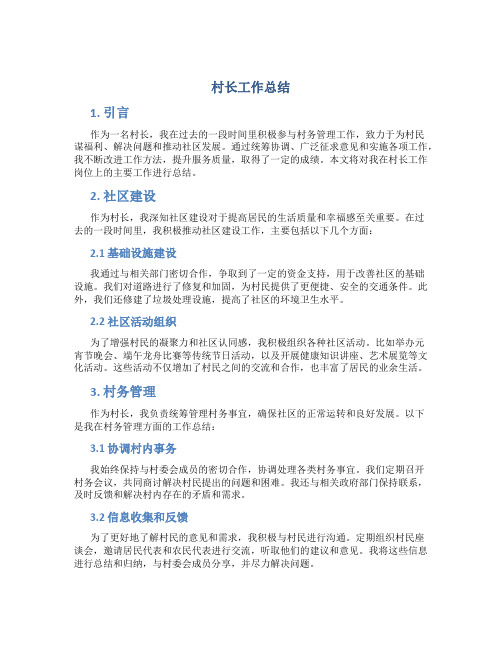 村长工作总结