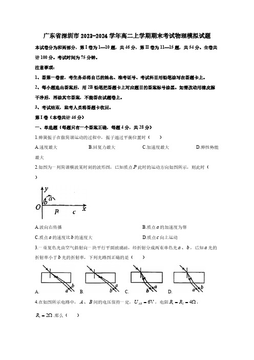 广东省深圳市2023-2024学年高二上册期末考试物理模拟试题(附答案)