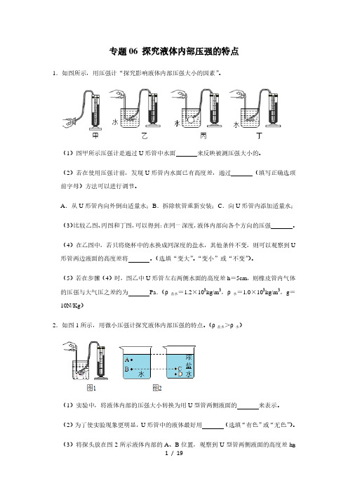 人教版物理八年级下学期期末总复习 必考实验练习06 探究液体内部压强的特点