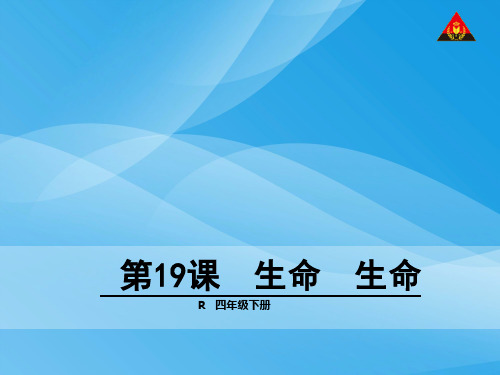 四下19生命 生命1语文课件PPT