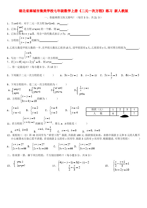 湖北省麻城市集美学校七年级数学上册《二元一次方程》练习(无答案) 版