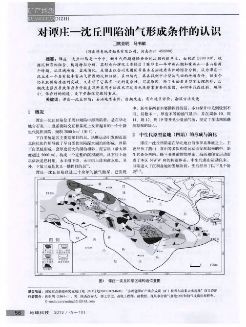 对谭庄-沈丘凹陷油气形成条件的认识