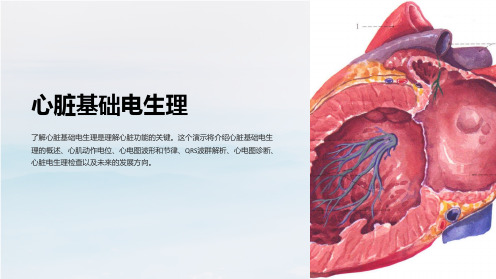 心脏基础电生理