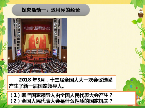 人教部编版八年级下册道德与法治6.1国家权力机关3