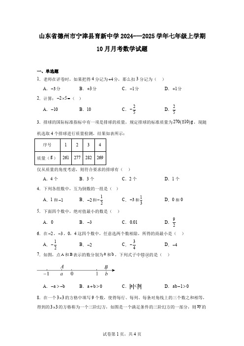 山东省德州市宁津县育新中学2024-—2025学年七年级上学期10月月考数学试题