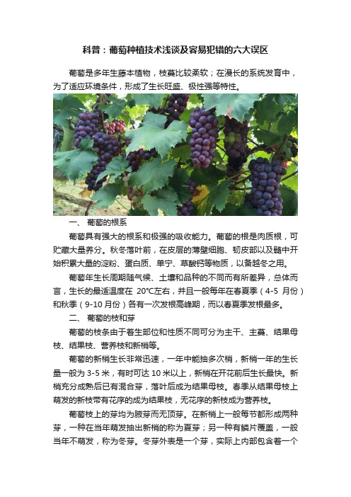 科普：葡萄种植技术浅谈及容易犯错的六大误区