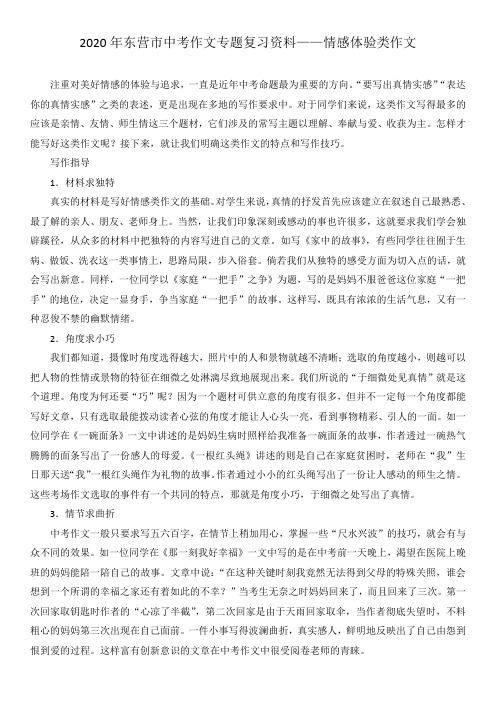 2020年东营市中考作文专题复习资料——情感体验类作文