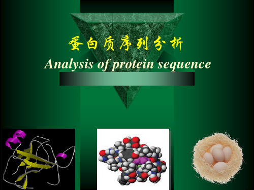 蛋白质序列分析