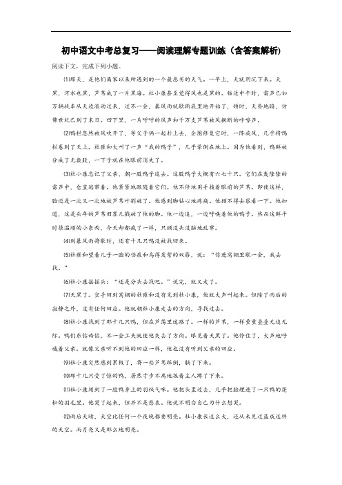 初中语文中考总复习阅读理解专题训练(孤独之旅)