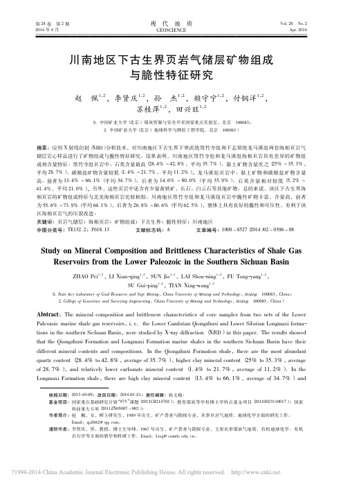 川南地区下古生界页岩气储层矿物组成与脆性特征研究_赵佩 (1)