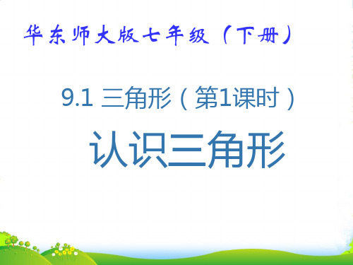 华师大版七年级数学下册第九章《9.1 三角形(1)》优课件