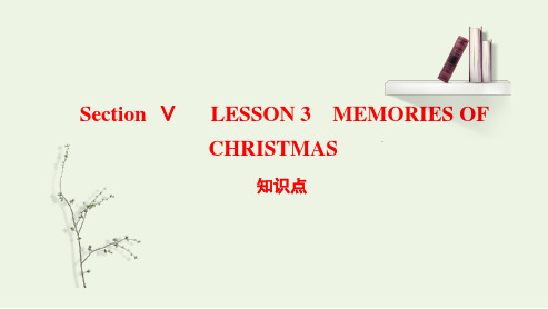 Unit3CelebrationsLesson3知识点课件高中英语北师大版(2019)必修第一册