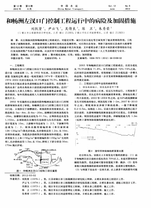 和畅洲左汊口门控制工程运行中的病险及加固措施