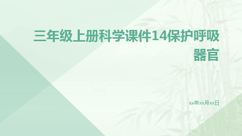 三年级上册科学课件14保护呼吸器官13张