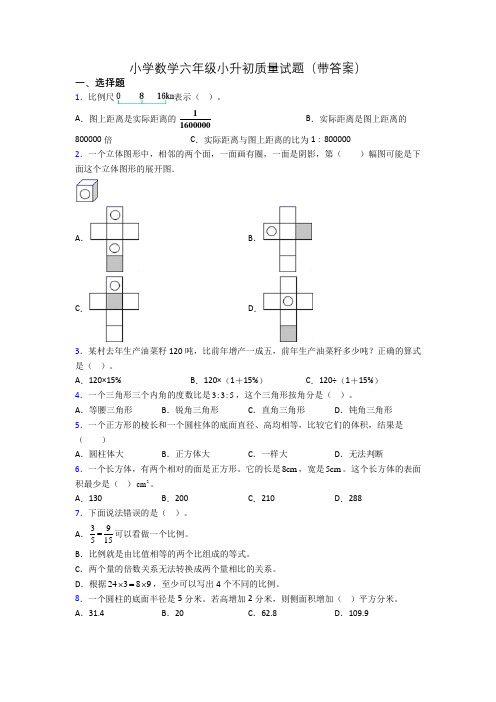 小学数学六年级小升初质量试题(带答案)