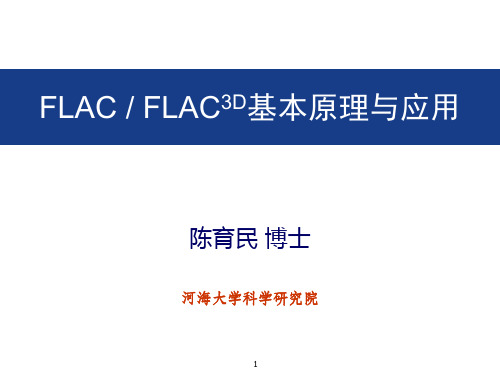 FLAC3D动力分析-陈育民