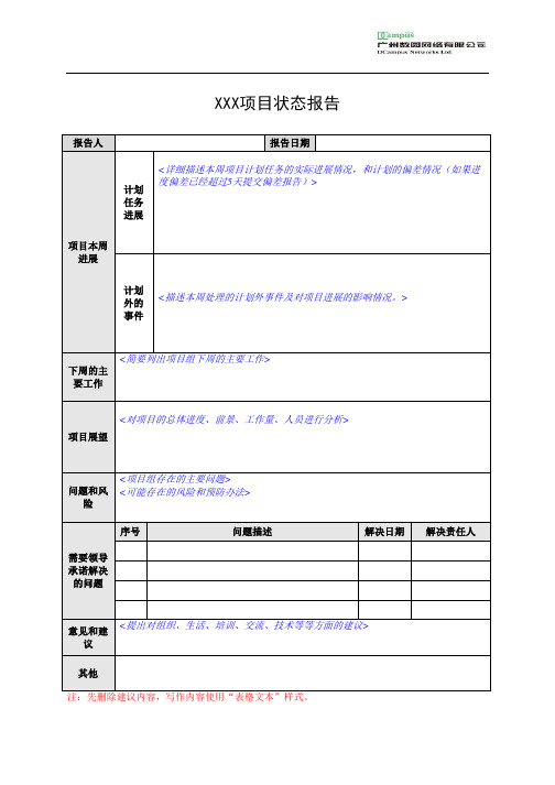 项目进展报告模板(PM)