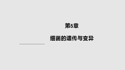 病原生物学细菌的遗传与变异PPT课件