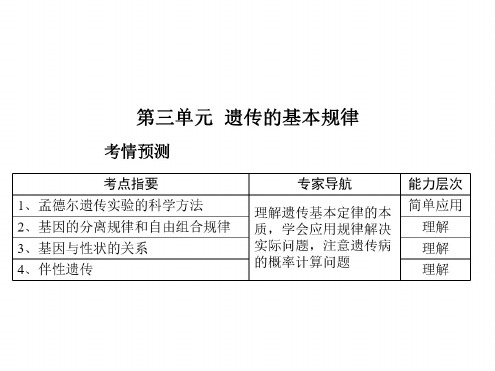 高二生物遗传与进化4