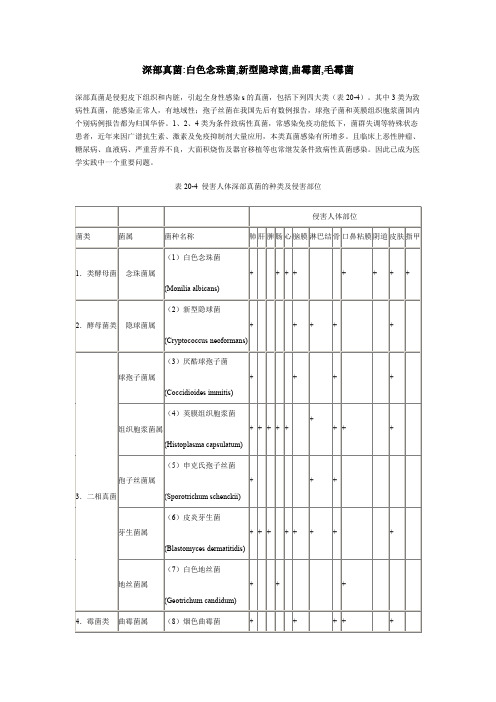 真菌分类