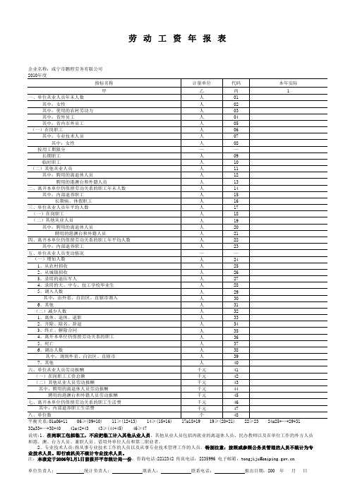 劳动工资年报表