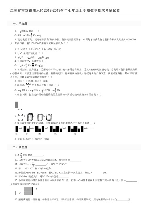 江苏省南京市溧水区2018-2019学年七年级上学期数学期末考试试卷 及参考答案