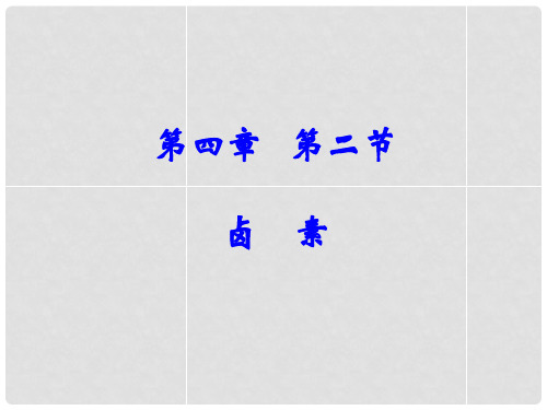 湖南师范大学附属中学高考化学总复习 第四章 卤素元素课件