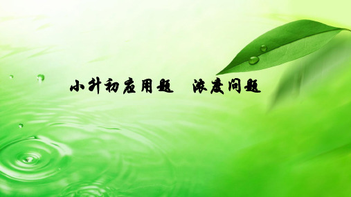 六年级下册数学习题课件-2019年河南省小升初应用题——浓度问题(共29张PPT)北师大版