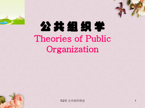 公共组织理论课件(PPT 45页)